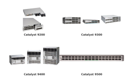 Cisco Catalyst 9000 Series: so sánh Catalyst 9200, 9300, 9400, 9500 và cách chọn theo datasheet